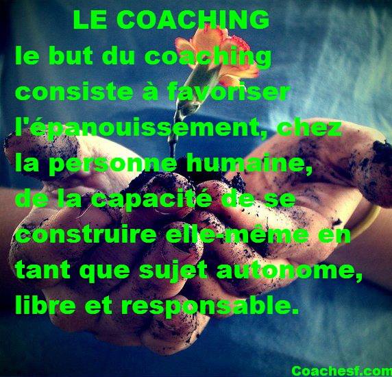 Coachesf.com | 4454 Rue Saint-Zotique E, Montréal, QC H1T 1L9, Canada | Phone: (514) 813-9781