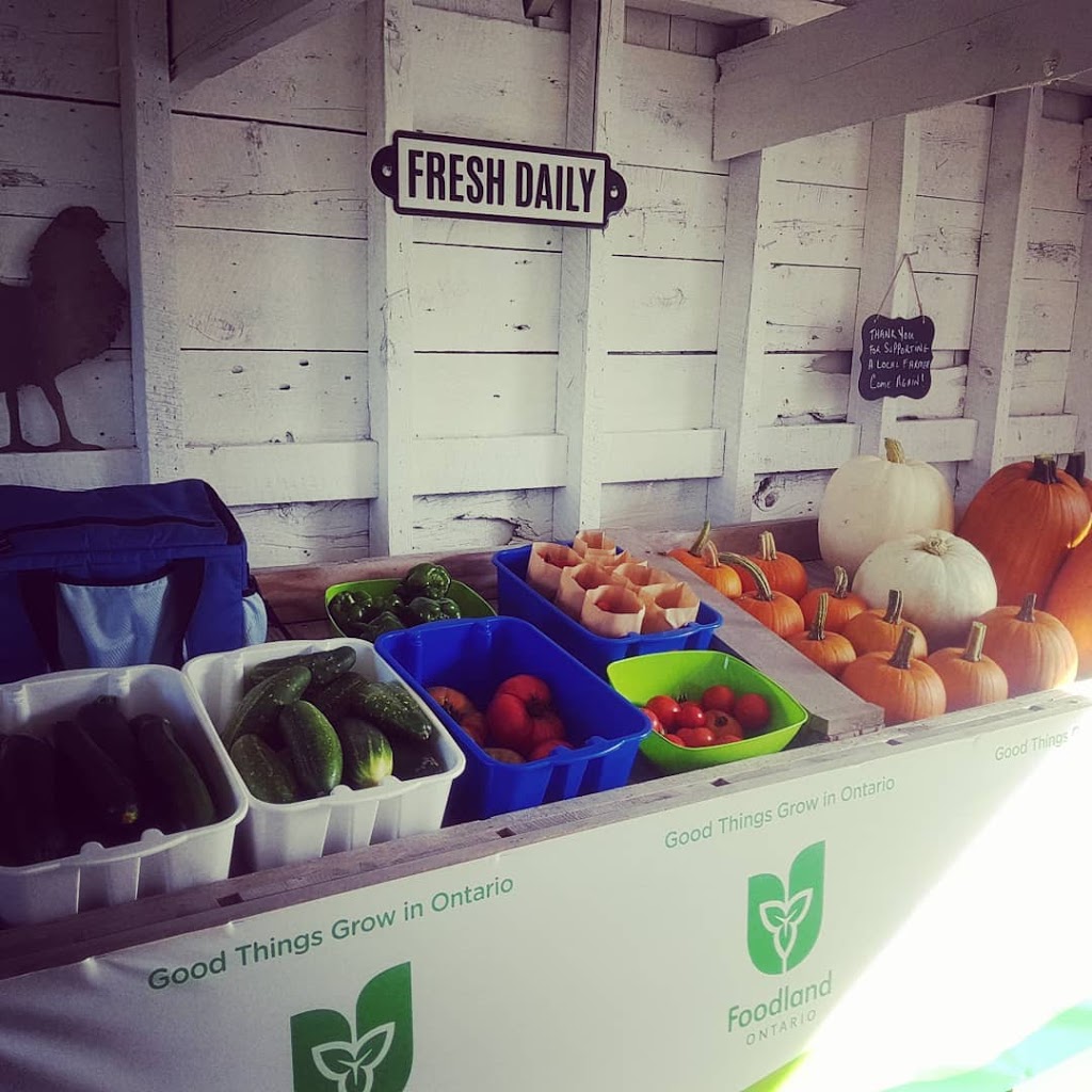 FED Farm | 077580 11 Line, Meaford, ON N4L 1W5, Canada | Phone: (705) 888-4181