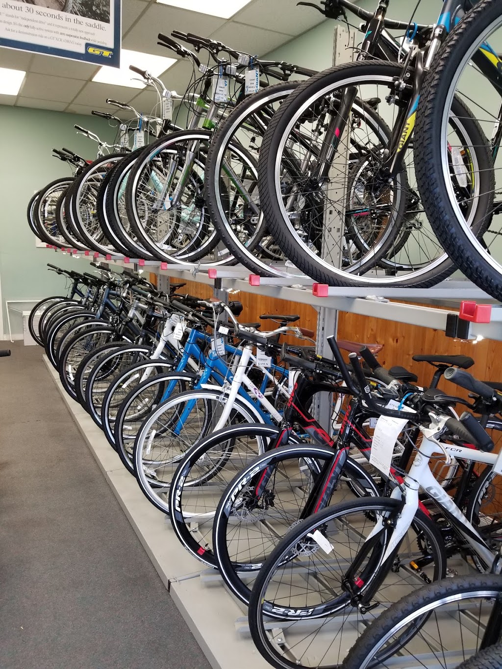 Steves Place Bicycles & Repair | 181 Niagara Blvd, Fort Erie, ON L2A 3G7, Canada | Phone: (905) 871-7517