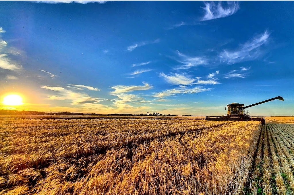 Wavy Lake Farm | 36360 Range Road 272, Red Deer County, AB T0M 1R0, Canada | Phone: (403) 396-8590