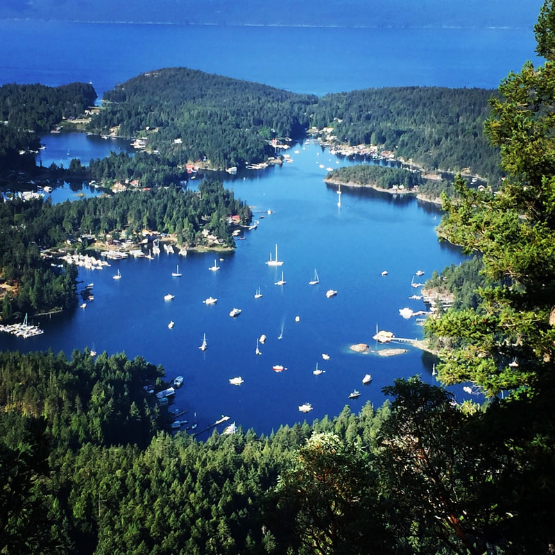 Pender Harbour Info Centre | 12911 Madeira Park Rd, Madeira Park, BC V0N 2H0, Canada | Phone: (604) 883-2561