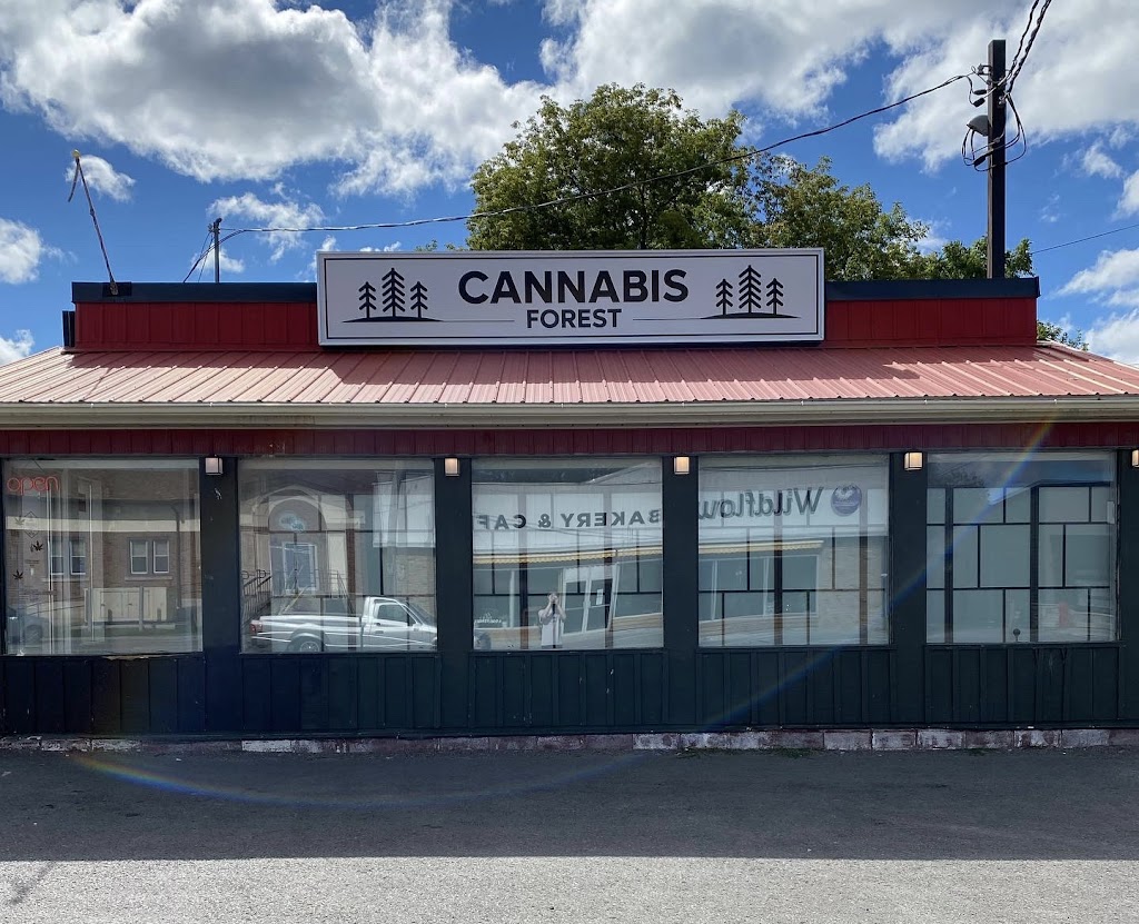 Cannabis Forest | 2 Ottawa St W Unit B, Havelock, ON K0L 1Z0, Canada | Phone: (705) 778-3226