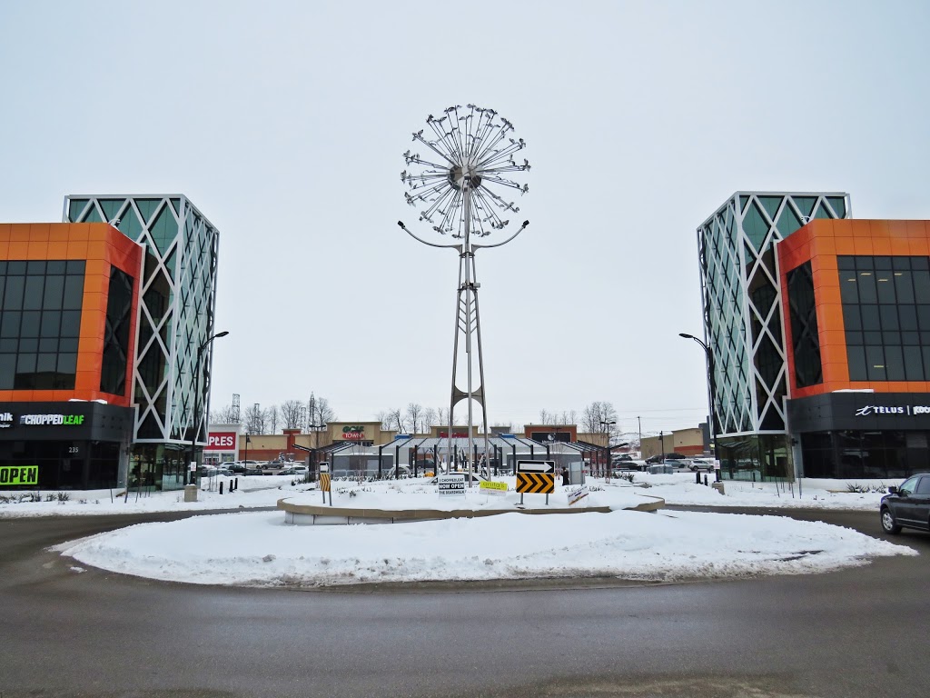 Central Village at The Boardwalk | 240 The Boardwalk, Kitchener, ON N2N 0B1, Canada | Phone: (519) 744-6464