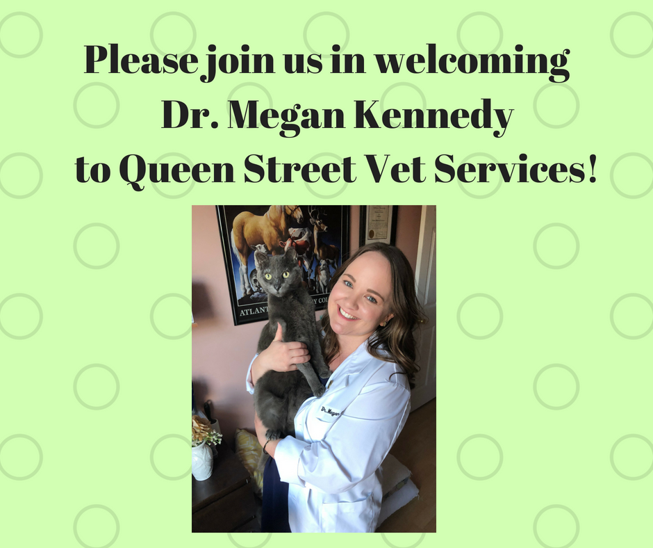 Queen Street Veterinary Services | 1004 Queen St, Kincardine, ON N2Z 1E3, Canada | Phone: (519) 396-3647