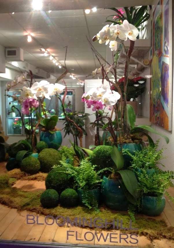 Bloominghill Flowers | 1724 Avenue Rd, North York, ON M5M 3Y6, Canada | Phone: (416) 781-7135