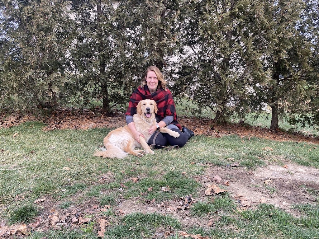 Paws Up Obedience Training | 714660 Middletown Line, Woodstock, ON N4S 7W3, Canada | Phone: (519) 697-4036