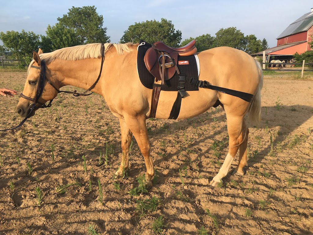 Escent Equestrian | 2928 ON-15, Kingston, ON K7L 4V3, Canada | Phone: (613) 561-5234