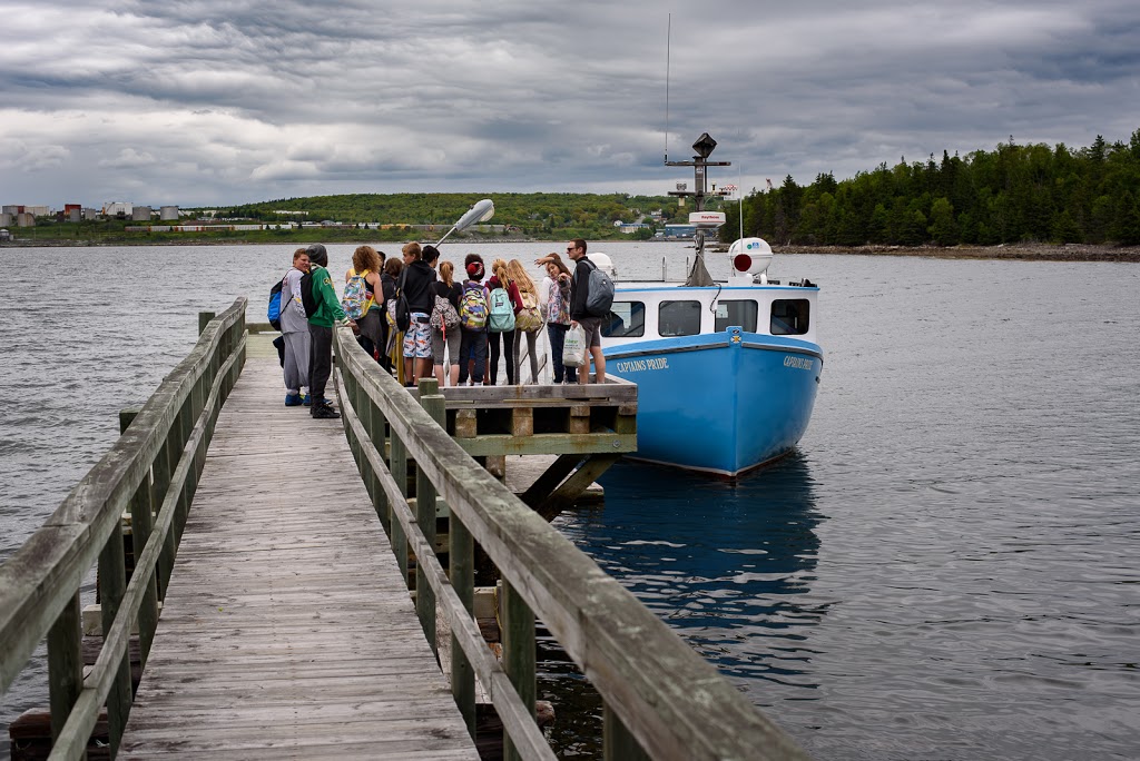 A&M Sea Charters | 87 Government Wharf Rd, Eastern Passage, NS B3G, Canada | Phone: (902) 465-6617