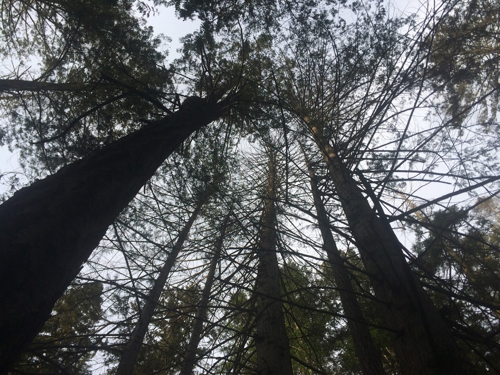 Capstan Lane Park | Pender Island, BC V0N 2M2, Canada
