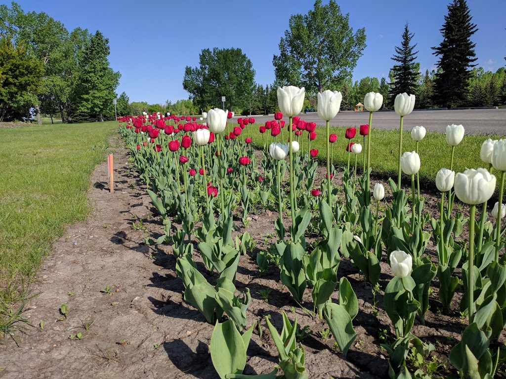 North Glenmore Park | 7305 Crowchild Trail SW, Calgary, AB T3E 5N5, Canada | Phone: (403) 268-2489