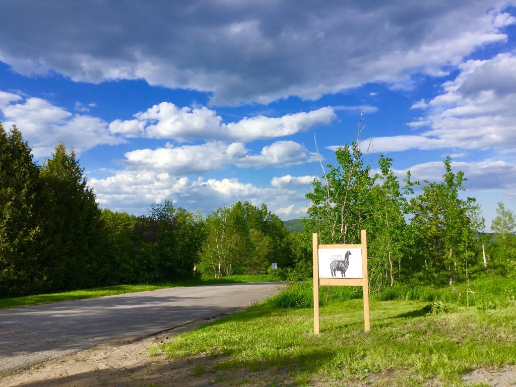 Domaine Camélivoix | 41 Rang Saint Jean Baptiste, La Malbaie, QC G5A 2E4, Canada | Phone: (514) 912-0820