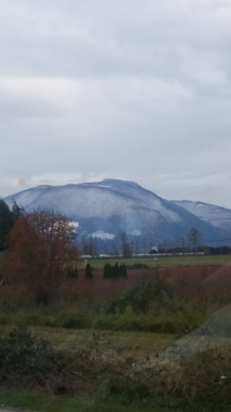 Griner Park | 32835 Janzen Ave, Mission, BC V2V 2T4, Canada