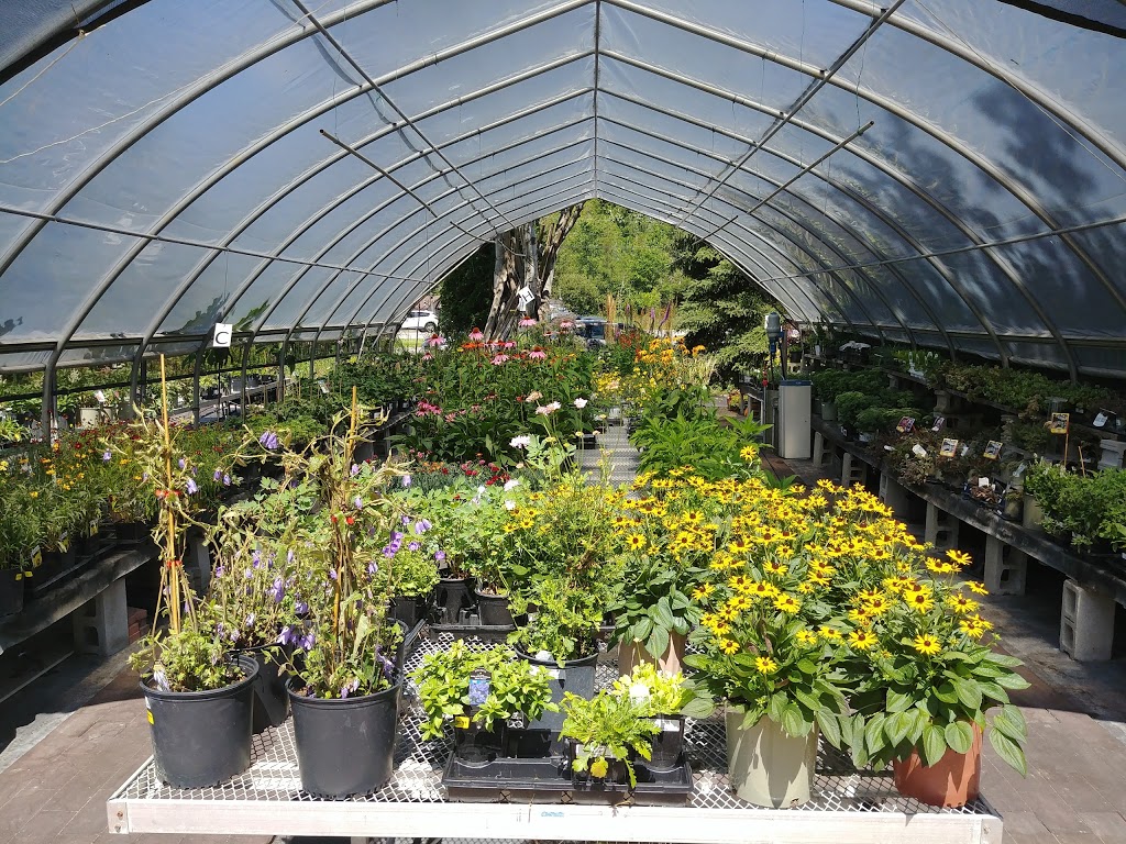 Baltimore Valley Nursery/Garden Centre | 5599 45, Baltimore, ON K0K 1C0, Canada | Phone: (905) 372-2662