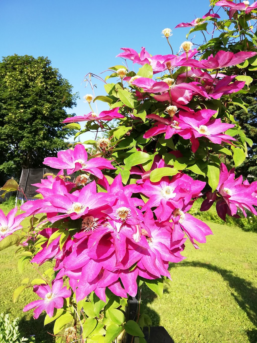 Seaview Crestwood House B&B | 21 Crestwood Ave, Stratford, PE C1B 1M1, Canada | Phone: (902) 388-6668