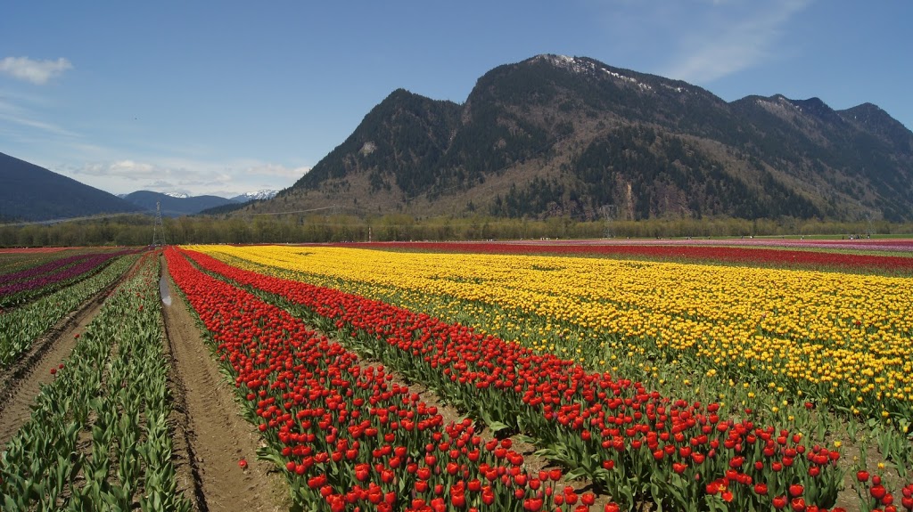Seabird Island Band | 2895 Chowat Rd, Agassiz, BC V0M 1A0, Canada | Phone: (604) 796-2177