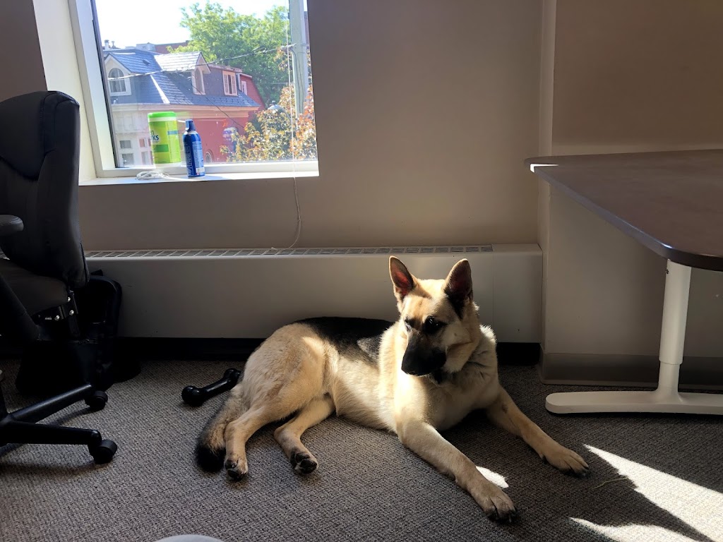 Canadian Canine Training Academy | 108-190 Menten Pl, Nepean, ON K2H 9G3, Canada | Phone: (613) 276-3647