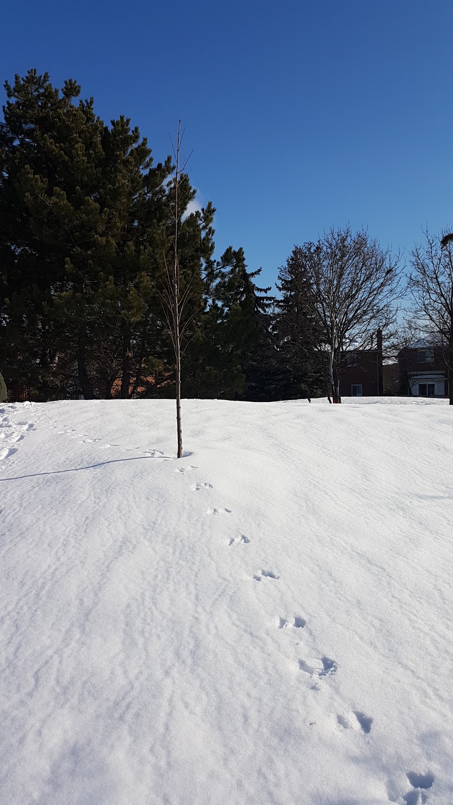Winbourne Park | Richmond Hill, ON L4C 9V2, Canada | Phone: (905) 771-8800