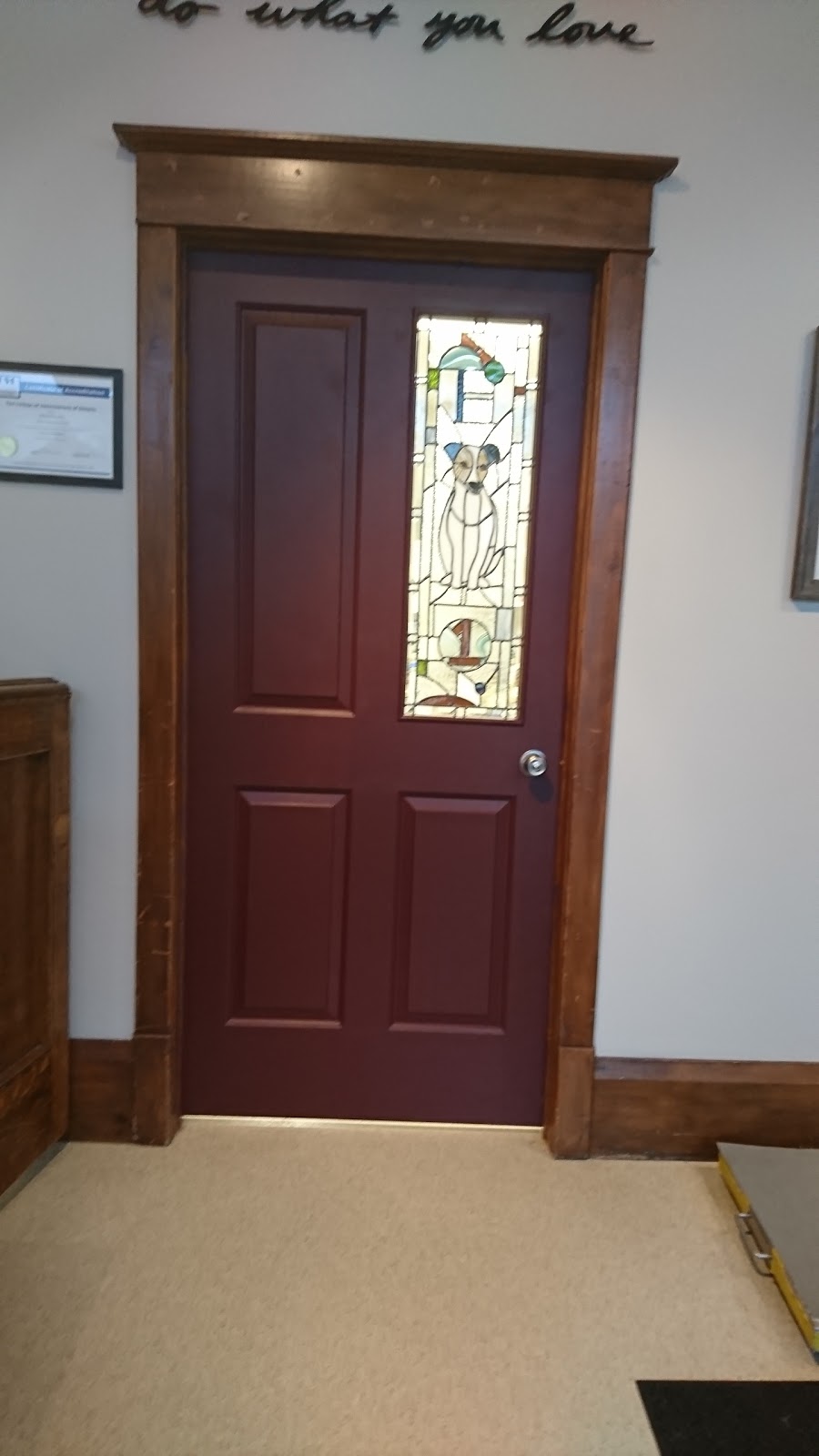 Ilderton Pet Hospital | 125 King St, Ilderton, ON N0M 2A0, Canada | Phone: (519) 666-2288