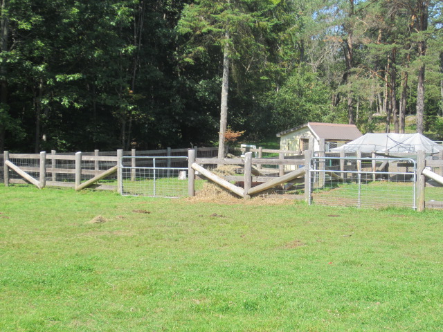 Falkenridge Farm | 1266 Falkenburg Rd, Bracebridge, ON P1L 1X4, Canada | Phone: (705) 645-7905