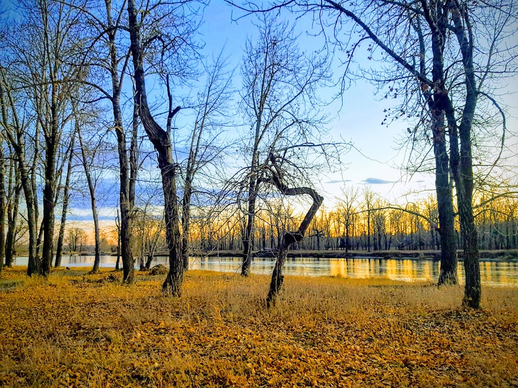 Douglasbank Park | 2191 Douglasbank Crescent SE, Calgary, AB T2Z 2J4, Canada