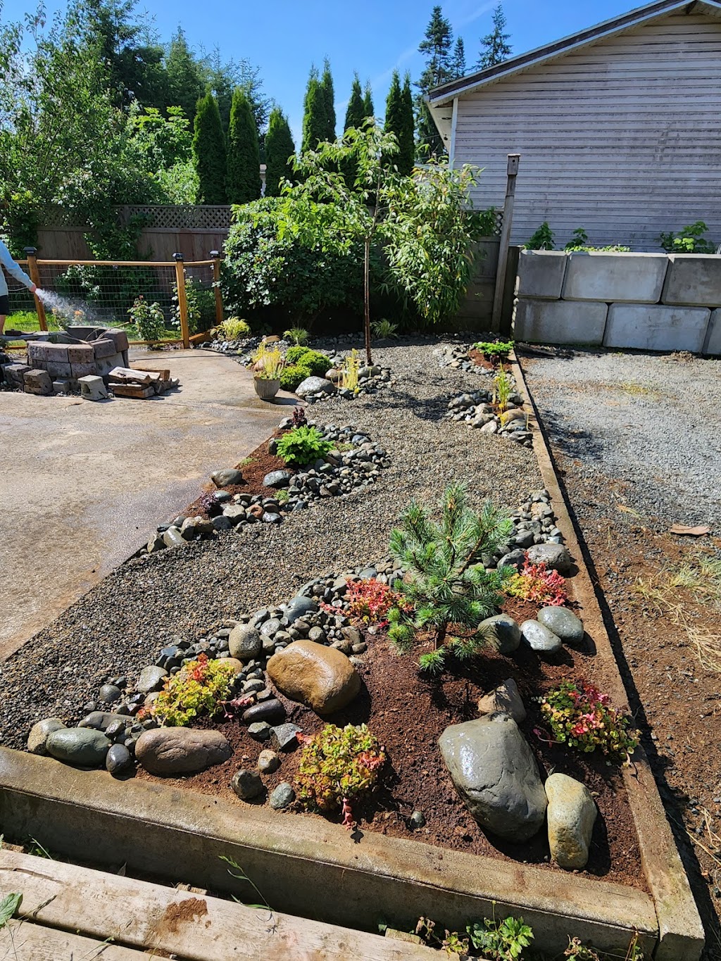 Kats Cleaning | 3901 Laplant Pl, Campbell River, BC V9H 1H9, Canada | Phone: (250) 202-9473