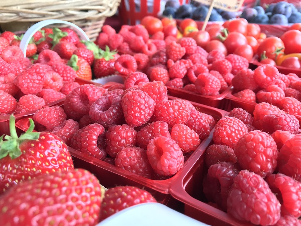 Le Roi de la Fraise Gino Maynard | 20 Petit rang Saint-Charles, Saint-Paul-dAbbotsford, QC J0E 1A0, Canada | Phone: (450) 379-9252