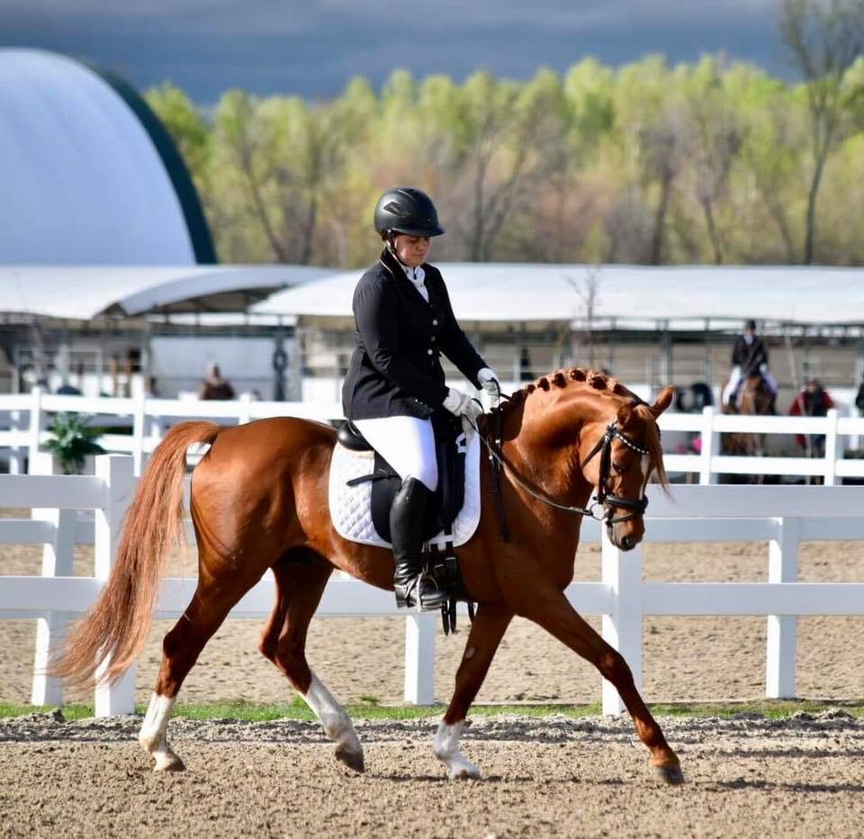 Pikturesque Farm | 1545 Rideau Ferry Rd, Perth, ON K7H 3C7, Canada | Phone: (613) 264-8187