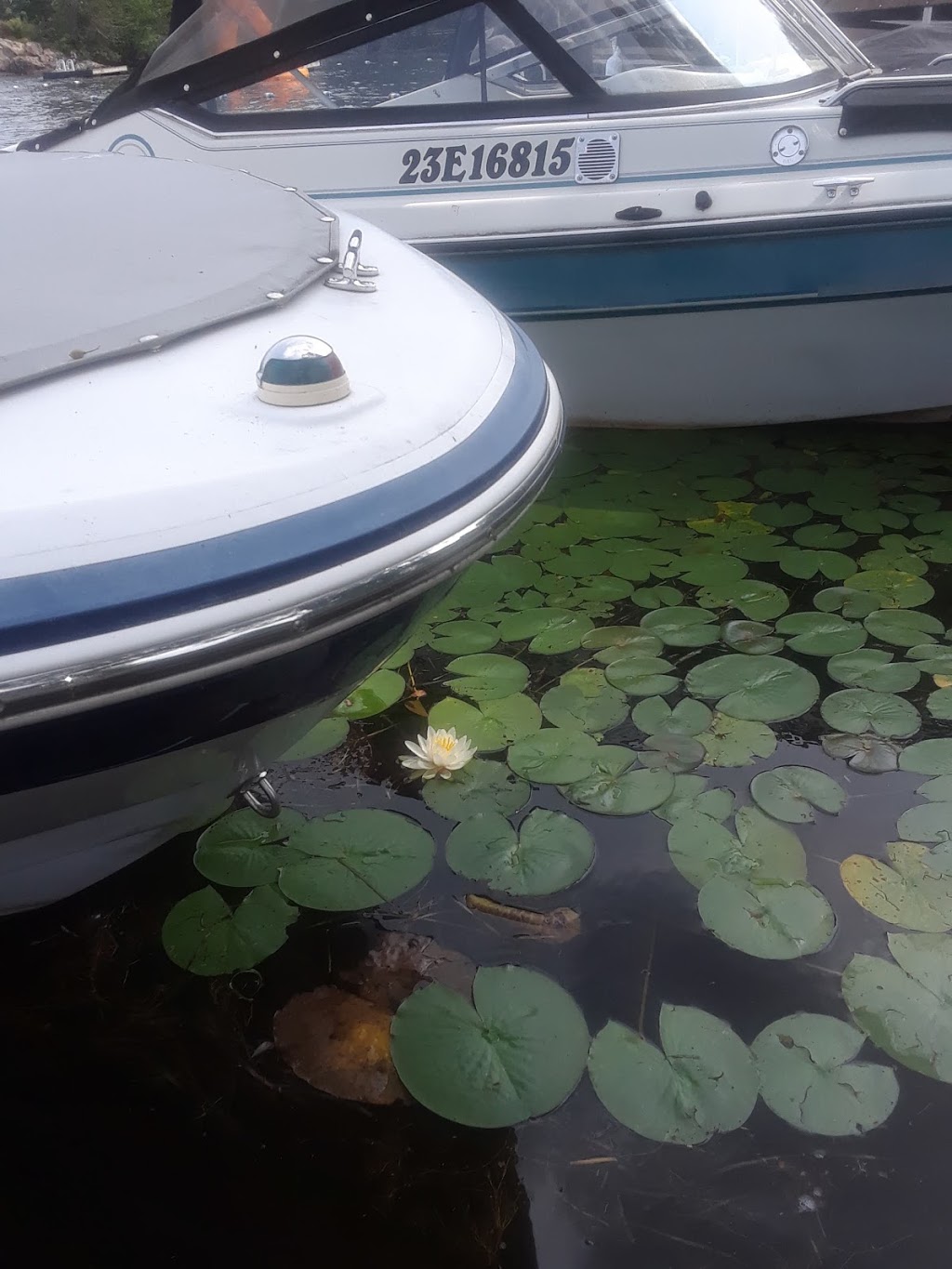 Islandview Trailer Park | Beaver Point Rd, Coboconk, ON K0M 1K0, Canada | Phone: (705) 454-3422