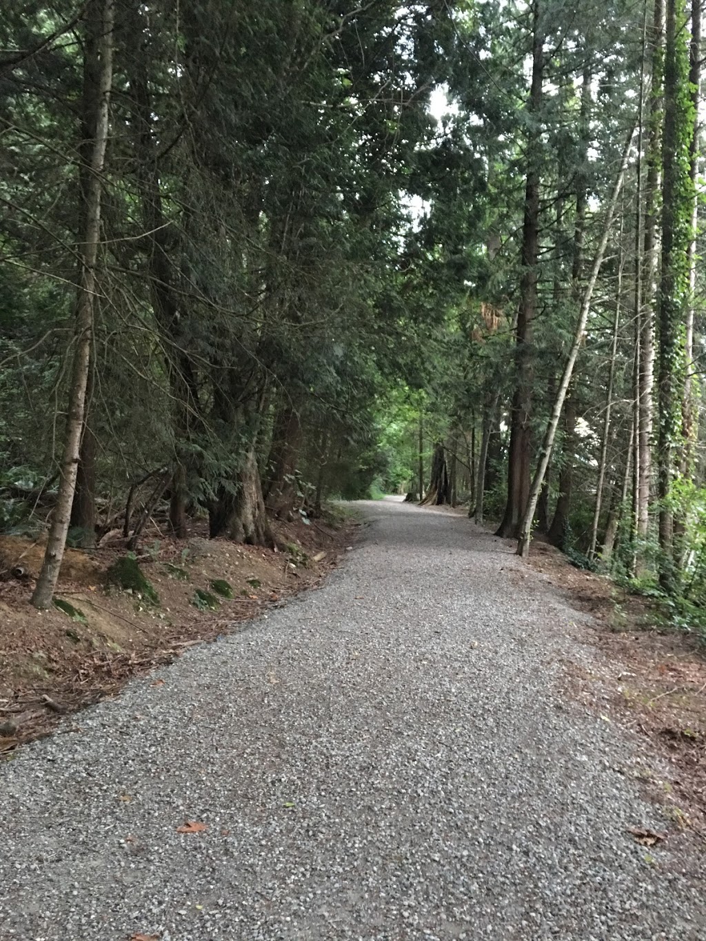 Riverview Forest | Coquitlam, BC V3C 5W7, Canada | Phone: (604) 927-3000