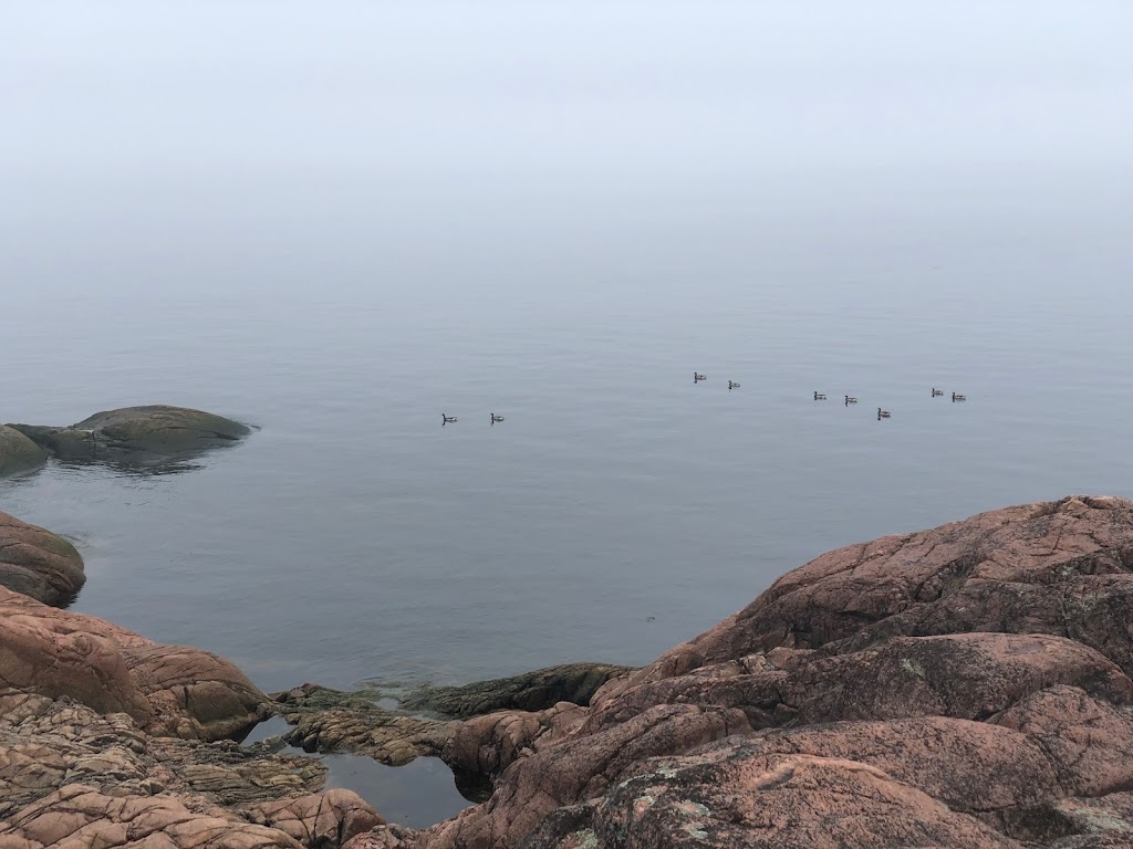 Mer et monde écotours | 20 Chem. Jalbert, Grandes-Bergeronnes, QC G0T 1G0, Canada | Phone: (418) 232-6779