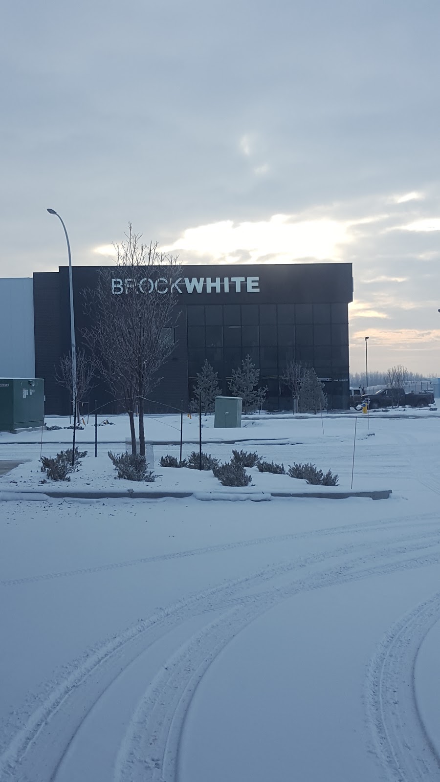 Brock White | 21359 115 Ave NW, Edmonton, AB T5S 2B9, Canada | Phone: (780) 447-1774