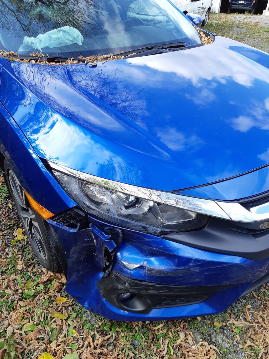 CARSTAR Scarborough South 6149 Kingston Rd, Scarborough, ON M1C 1K7, Canada