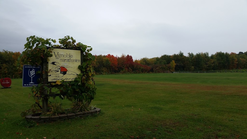 Vignoble du marathonien | 318 QC-202, Havelock, QC J0S 2C0, Canada | Phone: (450) 826-0522