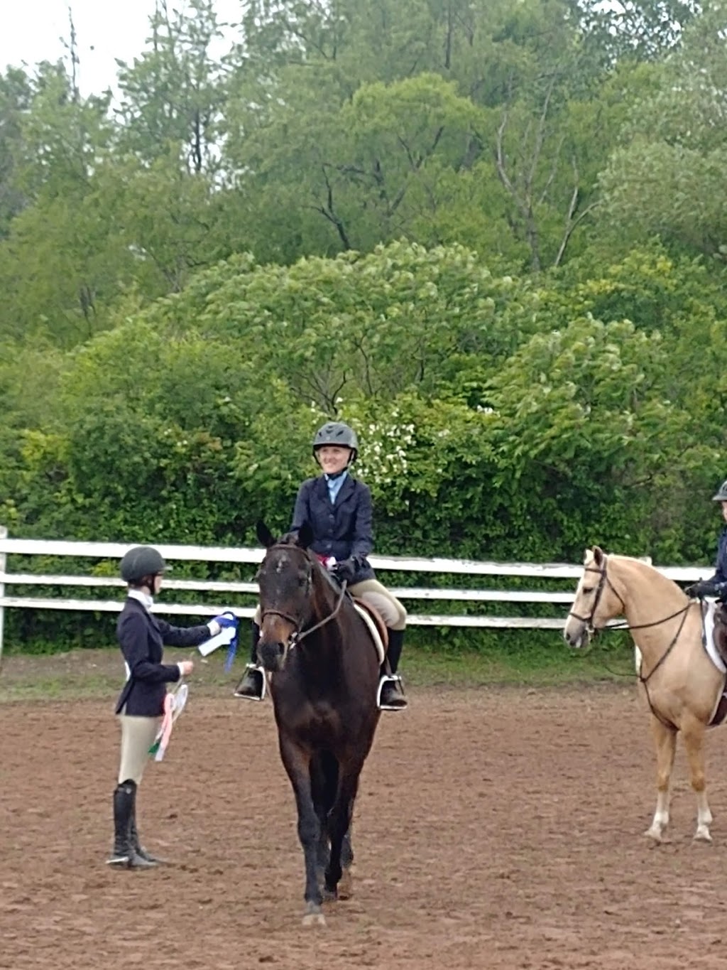 Red Ribbon Stables | 896 RR #4, Concession 6 Rd, Niagara-on-the-Lake, ON L0S 1J0, Canada | Phone: (905) 687-1669
