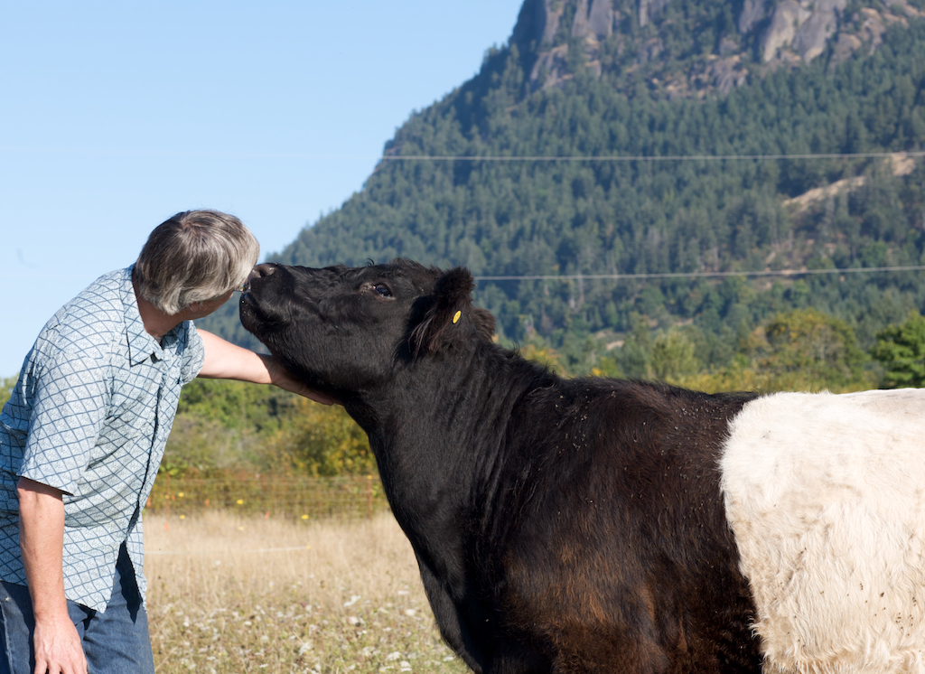 Night Owl Farm | 2100 Fulford-Ganges Rd, Salt Spring Island, BC V8K 1Z7, Canada | Phone: (250) 653-9147
