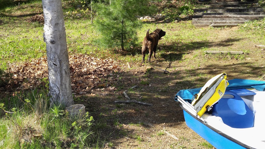 NORGO | 237 Siddon Lake Pl, Bancroft, ON K0L 1C0, Canada | Phone: (705) 201-1575