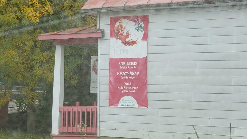 Service de vêtements de la Petite-Nation | 87 Route 321 S, Saint-André-Avellin, QC J0V 1W0, Canada