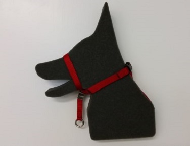 Professional Animal Behavior Associates | Parkhill Dr Box 141, Parkhill, ON N0M 2K0, Canada | Phone: (519) 685-4756