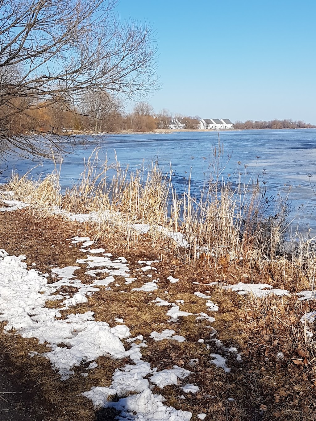 Quinte Rowing Club Inc | 35 Keegan Pkwy, Belleville, ON K8N 5R1, Canada | Phone: (613) 962-6818