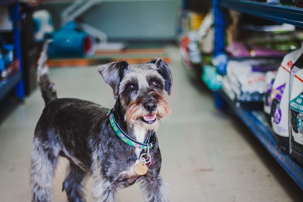 Just The Snip Pet Shop & Grooming | 178 Alma St #4, Rockwood, ON N0B 2K0, Canada | Phone: (519) 546-4364
