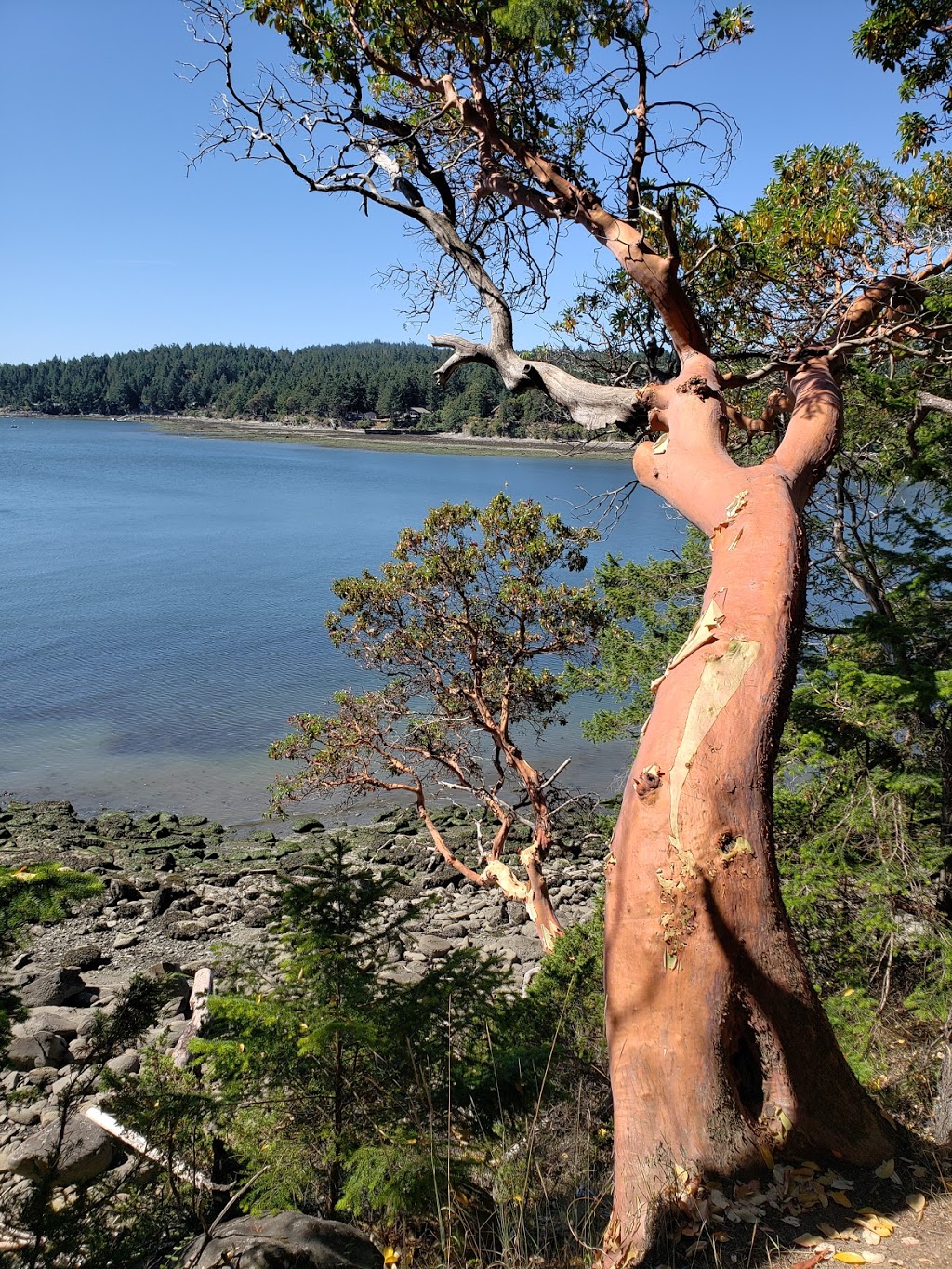Bennett Bay | Isabella Rd, Mayne Island, BC V0N 2J1, Canada | Phone: (250) 654-4072