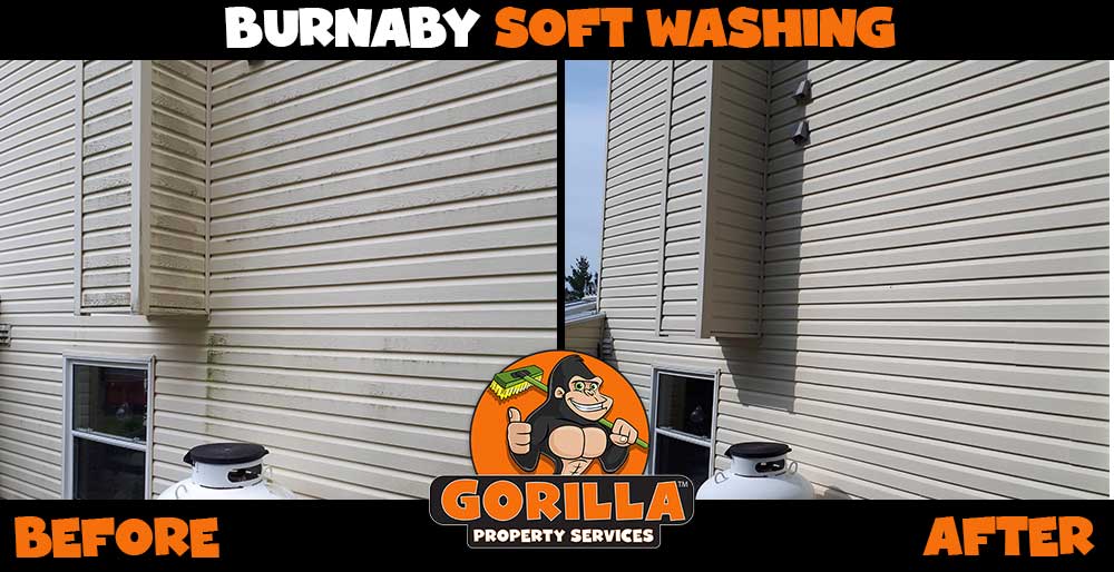 Gorilla Property Services | 4111 Hastings St Ste 170, Burnaby, BC V5C 6T7, Canada | Phone: (604) 467-4552