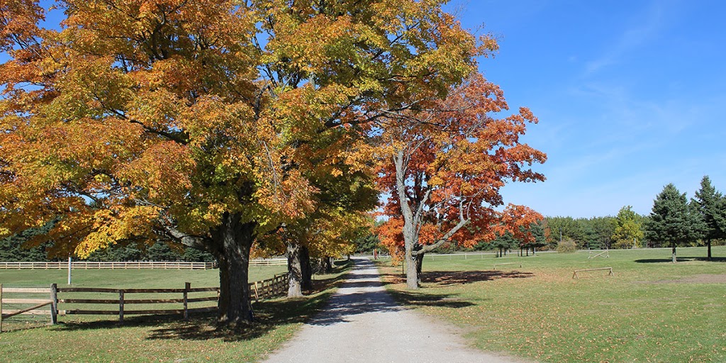 Rockcliffe Farm - Naturally Raised Meat & Produce | 388114 Mono Centre Rd, Mono, ON L9W 6V8, Canada | Phone: (905) 505-6650