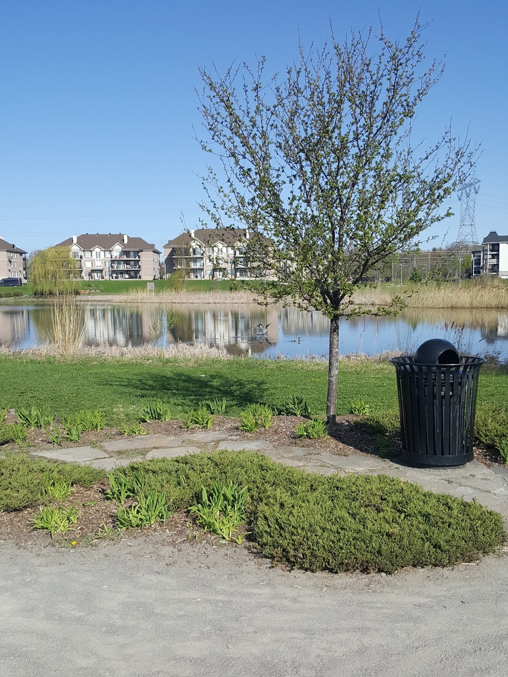 Parc de la Seigneurie | 1001 Avenue de lEsplanade O, Mascouche, QC J7K 2L6, Canada | Phone: (450) 474-4133