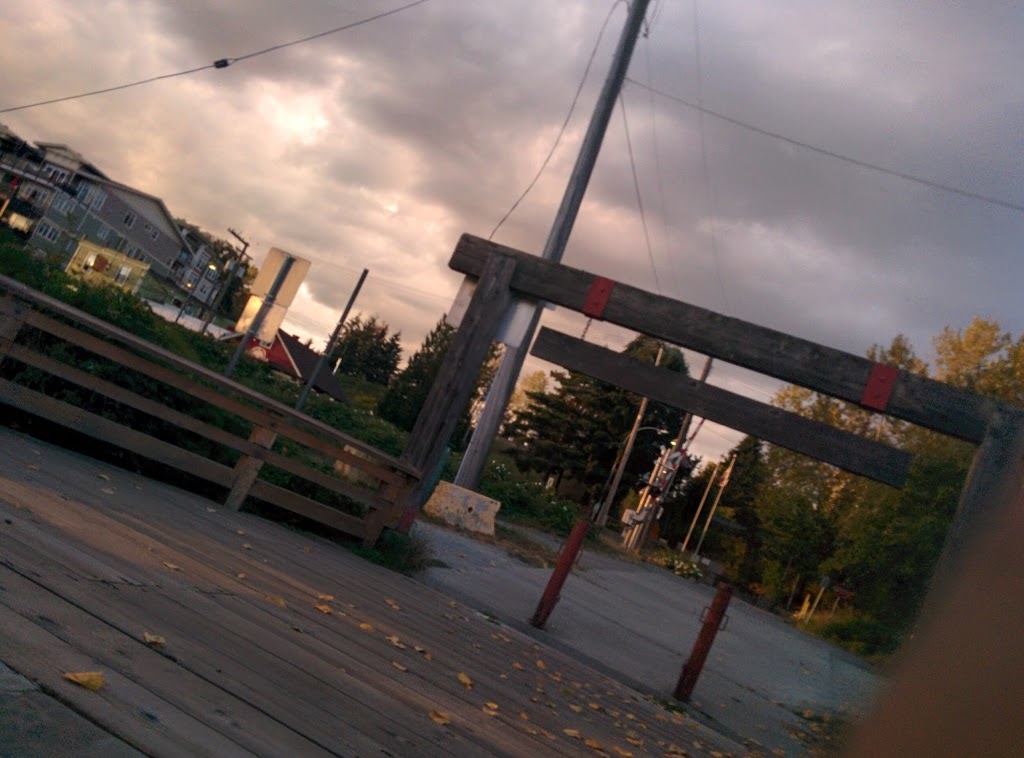 Port Haney Wharf | River Rd, Maple Ridge, BC V2X 0Z8, Canada