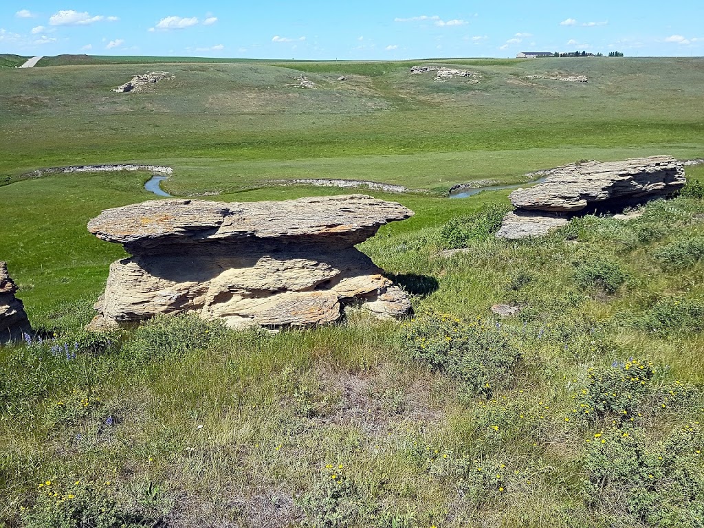 Womens Buffalo Jump | Foothills No. 31, AB T0L 0P0, Canada