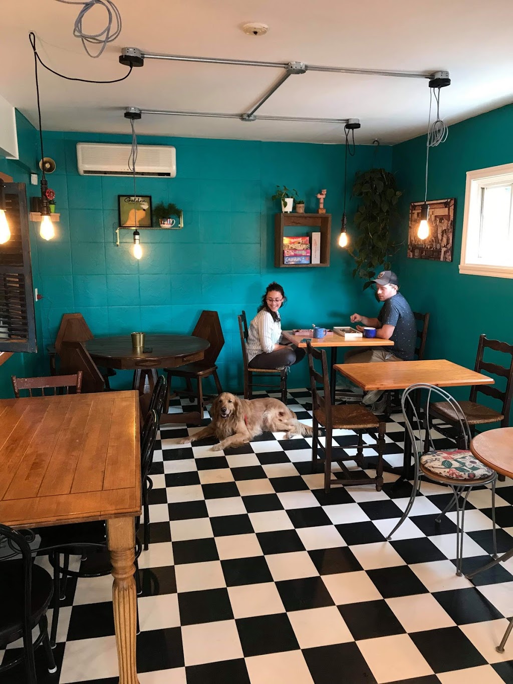 CHEZ LUC- Café et Boutique pour animaux | 1050 Boulevard Laurier E, Saint-Hyacinthe, QC J2T 1K1, Canada | Phone: (450) 252-3647