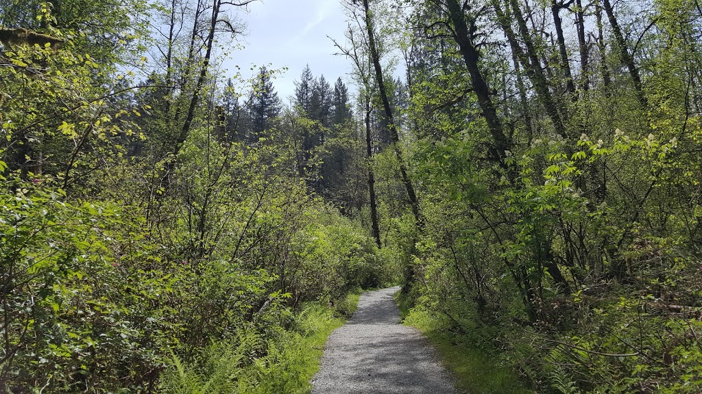 Terry Fox Park | 1269 Riverside Dr, Port Coquitlam, BC V3B 7W5, Canada | Phone: (604) 927-5411