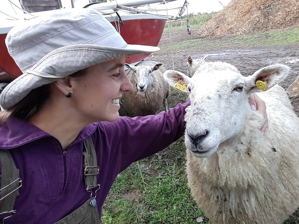Ferme Ammerlaan | 303 Rang St Georges, Saint-Valentin, QC J0J 2E0, Canada | Phone: (450) 291-5258