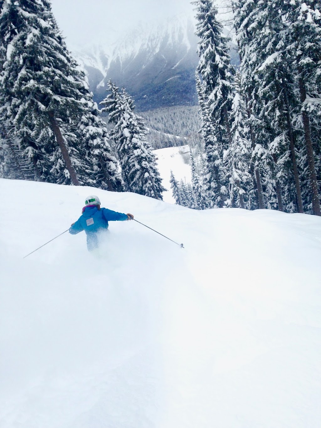 Canadian Powder Tours Lodge | 1410 McDonald Ave, Fernie, BC V0B 1M1, Canada | Phone: (250) 423-3019